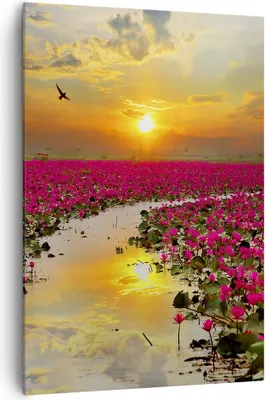 Produktbild von Bild auf Leinwand - Leinwandbild - Einteilig - See Blumen - 70x100cm - Wand Bild - Wanddeko - Wandbilder - Leinwanddruck - Kunstdruck - Wanddekoration - Leinwand bilder - Wandbild - PA70x100-3769