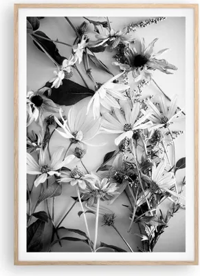 Produktbild von Gerahmtes Poster - Rahmen in heller Eiche - Blumen Schwarzweiß Fotografie - 70x100 cm - Wand Bild - Wanddeko - Wandbilder - Kunstposter - Wandposter - Bilderrahmen - Bilder - P2NPA70x100-4740
