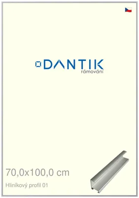 Zdjęcie produktu dla Rama DANTIK 70x100 | Profil ALU 7001 Srebrny mat (Plexi Clear)
