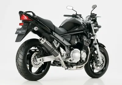 Zdjęcie produktu dla Tylny tłumik Hurric Supersport Carbon