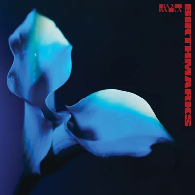 Obrázek produktu pro Bambara: Birthmarks (Transparent Blue Vinyl)