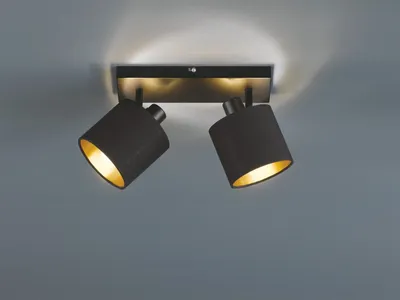 A black and gold ceiling light fixture with two adjustable spotlights.