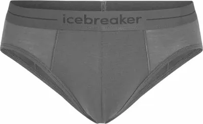 Immagine prodotto di Icebreaker Merino 150 Anatomica Slips Grau S Herren Grau S