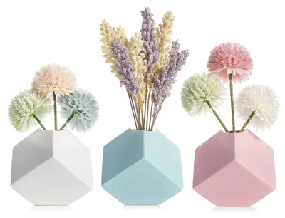 Imagen del producto de Juego de jarrones de cerámica, color blanco mate, de 2 piezas, ideales para flores de pampa y flores secas