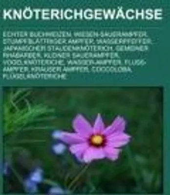 Produktbild von Knöterichgewächse