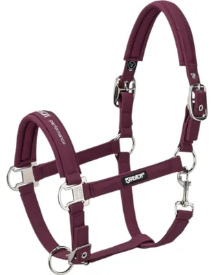 Image de Eskadron Licol Double Pin Buckle Softshell Licol en nylon Blackberry V