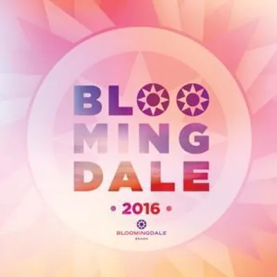 Produktbild von Bloomingdale 2016