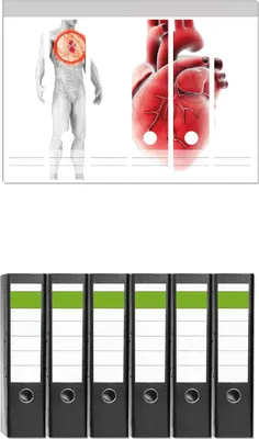 Produktbild von Wallario 6 Stück breite Ordner inkl. Klebeetiketten mit Motive Anatomie des Menschen  Herz in Nahansicht -  Set mit Rückenschildern / Ordnerrücken Stickern