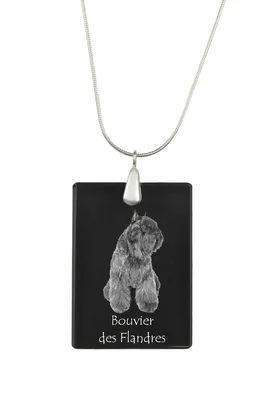 Produktbild von Flandrischer Treibhund, Bouvier des Flandres - Kristallanhänger mit Hund, Silberhalskette mit Foto, personalisierter Anhänger der Marke Art-Dog