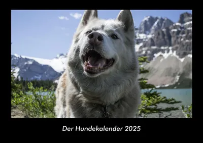 Produktbild von Der Hundekalender 2025 Fotokalender DIN A3