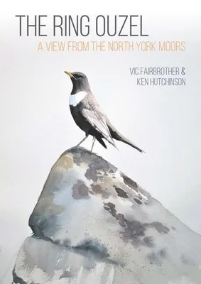 Image de The Ring Ouzel