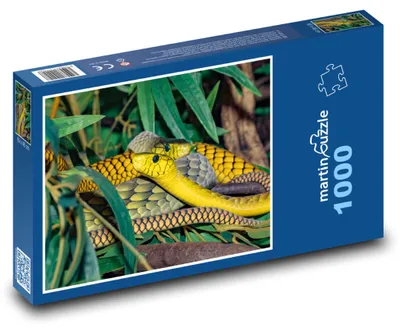 Produktbild von Puzzle 1000 Grüne Mamba im Dschungel - martinpuzzle