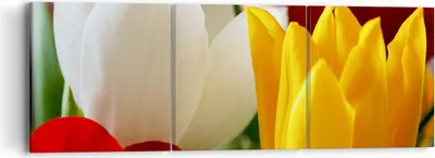 Produktbild von Bild auf Leinwand - Leinwandbild - Tulpen Vase Blumenstrauß - 90x30cm - Wand Bild - Wanddeko - Leinwanddruck - Bilder - Kunstdruck - Wanddekoration - Leinwand bilder - Wandkunst - CA90x30-1366