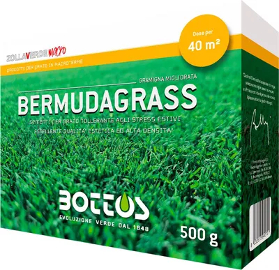 Immagine prodotto di Bermudagrass - 0,5 Kg Bottos seme professionale per prato