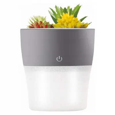 Immagine prodotto di Mini umidificatore da scrivania Setty, diffusore, vaso da fiori, fiori artificiali