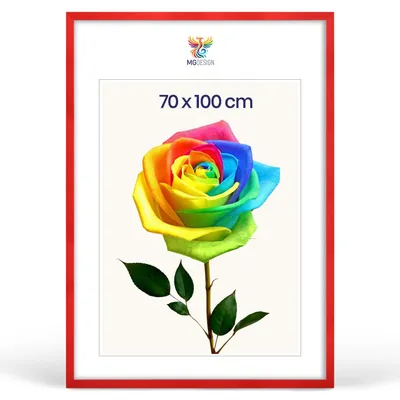 Produktbild von MG Design Bilderrahmen Rot 70x100 cm - Posterrahmen Echtholz mit Acrylglas, verstärkte Wandaufhängung, hoch/quer