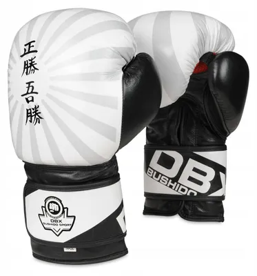 Produktbild von DBX BUSHIDO ARB-B-2v8 Boxhandschuhe Kickboxing 10oz