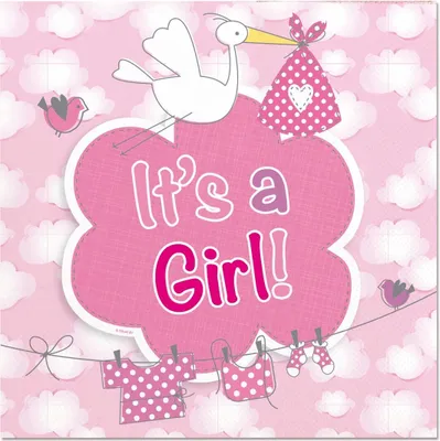 Produktbild von 20 Servietten Adebar It´s a Girl 25x25cm