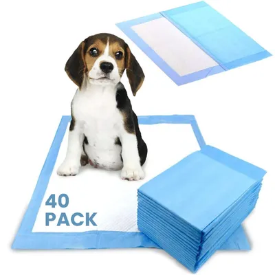 Immagine prodotto di Tappetini per cuccioli - Tappetini monouso per l'addestramento dei cani - Super assorbenti - A tenuta stagna - Superficie ad asciugatura rapida - Per cuccioli e cani adulti - 60×60 cm, 40 pezzi