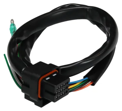 Immagine prodotto di Fascio di cavi Koso DB-01R, codice OEM BO018000