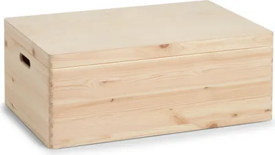Immagine prodotto di Contenitore con coperchio, organizer 58 l, ZELLER