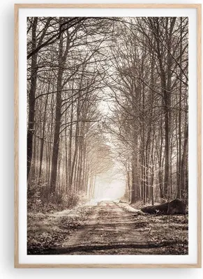 Produktbild von Gerahmtes Poster - Rahmen in heller Eiche - Wald Straße Baum - 70x100 cm - Wand Bild - Wanddeko - Wandbilder - Wandposter - Bilderrahmen - Bilder - Kunstdruck - Wandbild - P2NPA70x100-3620