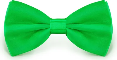 Produktbild von Fliege Grün Größe verstellbar aus Polyester einfarbig uni schmale 12 cm