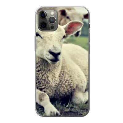 Produktbild von MuchoWow® Handyhülle Schutzhülle Hülle für iPhone 12 Pro Max Schaf - Lamm - Gras Silikon Softcase Handy Hülle - Hartschale