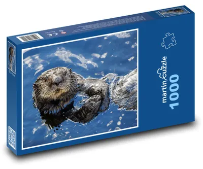 Obrázek produktu pro Puzzle 1000 Mořská vydra ve vodě - martinpuzzle