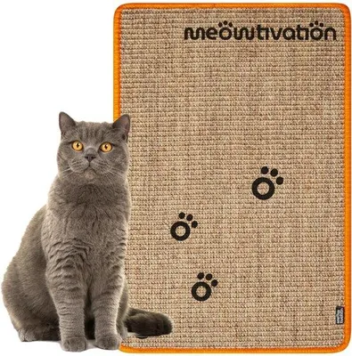 Image de Tapis à griffer pour chats, naturel, orange, 60 x 40 cm