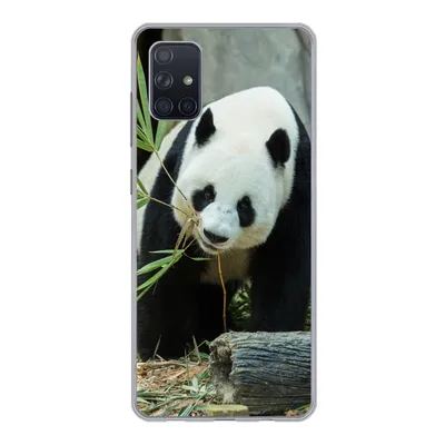 Produktbild von MuchoWow® Handyhülle Schutzhülle Hülle für Samsung Galaxy A71 Panda - Baumstamm - Höhle Silikon Softcase Handy Hülle - Kartenbesitzer