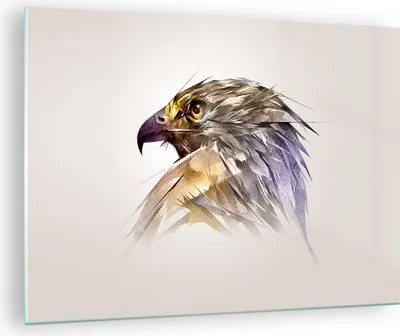 Produktbild von Bilder auf glas - Adler Vogel Feder - 70x50cm - Glasbilder - Wandbilder - Kunstdruck - zum Aufhängen bereit - Wanddekoration aus Glas - Glas Bilder - Wandbild auf Glas - Einteilig - GAA70x50-3936