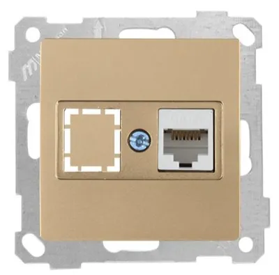 Produktbild von 1-fach Netzwerkdose CAT6 Gold Optik – Unterputz IP20 für Innen – CANDELA