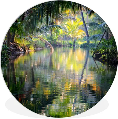 Produktbild von MuchoWow® Rundes Wandbild - Runde Bilder Tropische Reflexion Ø 60 cm Kreis Wanddekoration Kunststoff - Wandkreis - Wandschmuck - Wand Kreis - Das Schlafzimmer - Die Bilder - Wandmalerei - Kunst für das Haus - das Plastik