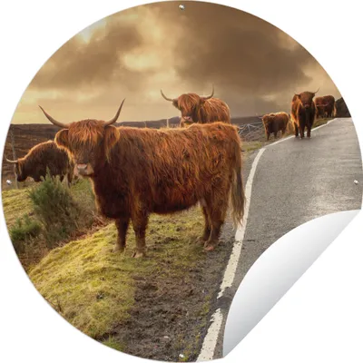 Produktbild von MuchoWow® Gartenposter Outdoor-Poster Rund Schottische Highlanders - Himmel - Straße Ø 150 cm Gartendeko Rundes Poster draußen