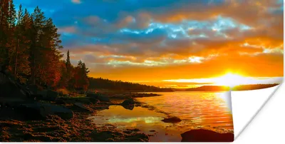 Produktbild von MuchoWow® Poster Sonne - Landschaft - Wasser - Bäume 120x60 cm - Bild