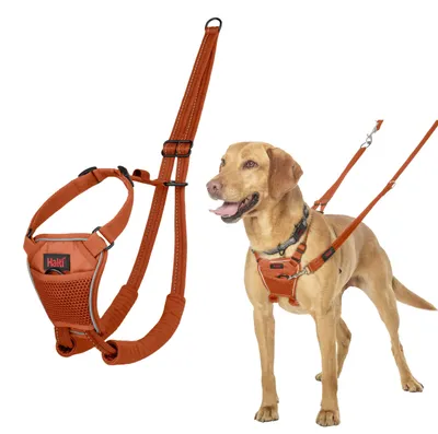 Zdjęcie produktu dla Hundegeschirr Company of Animals BURNT Orange 12