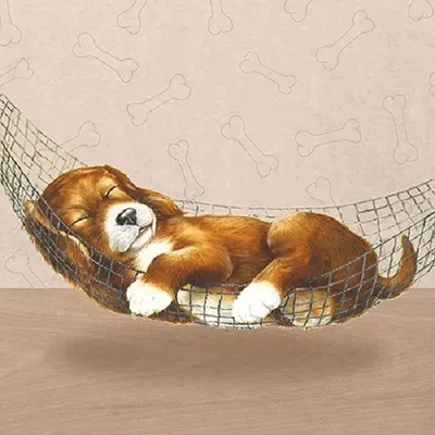 Produktbild von 20 Servietten Hund träumend