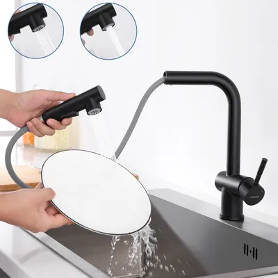 A person is washing a plate under a black kitchen faucet with a pull-out sprayer.