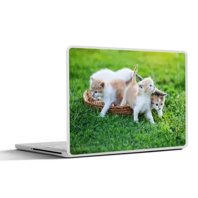 Produktbild von MuchoWow® Laptop Aufkleber Sticker Cover Kätzchen - Katze - Korb - Mädchen - Kinder - Jungen - Kinder 31x22.5 cm - Laptop-Deko