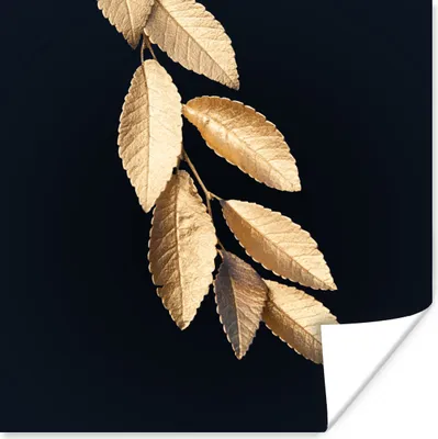 Produktbild von MuchoWow® Poster Blätter - Schwarz - Gold - Luxus - Pflanzen 50x50 cm - Wohnzimmerdekoration
