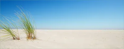 Produktbild von Wallario selbstklebendes Poster - Sandstrand unter blauem Himmel, Größe: 80 x 200 cm