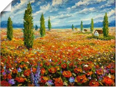 Produktbild von ARTland Poster Mohnblumenwiese Größe: 60x45 cm