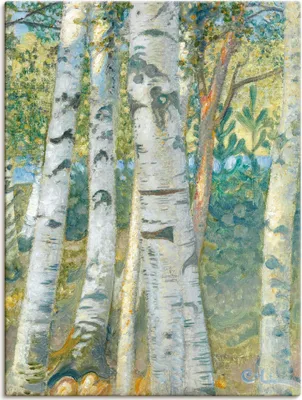 Produktbild von ARTland Leinwandbild Birkenstämme. 1910 Größe: 30x40 cm