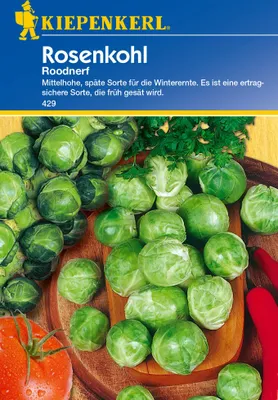 Produktbild von Kiepenkerl Rosenkohlsamen Roodnerf
