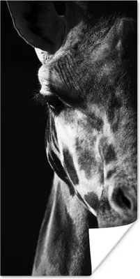 Produktbild von MuchoWow® Poster Tierprofil Giraffe in schwarz und weiß 80x160 cm - Kinderzimmer
