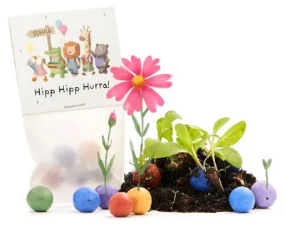 Produktbild von Die Stadtgärtner 5er Blumenmurmeln Einschulung Hipp Hipp Hurra