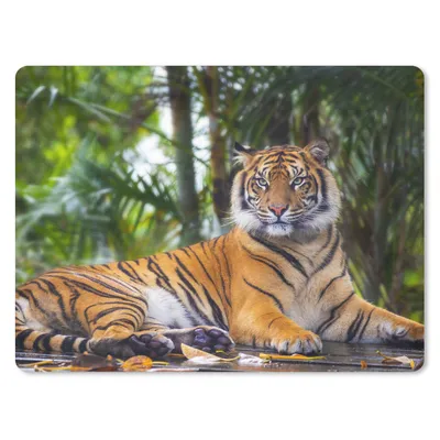 Produktbild von MuchoWow® Mauspad Mousepad Tiger - Tiere - Wald - Dschungel 23x19 cm - Mousepads - Maus Mat - Pad - Mausunterlage - Schreibtischunterlage - Mauspad
