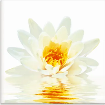 Produktbild von ARTland Glasbild Lotusblume schwimmt im Wasser Größe: 30x30 cm