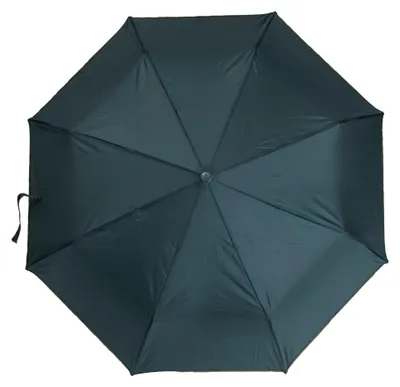 Produktbild von Teleskop-Taschenschirm mit Schutzhülle Wasserfeste Regenschirme mit Fiberglasgestell ?100 cm Dunkelgrün